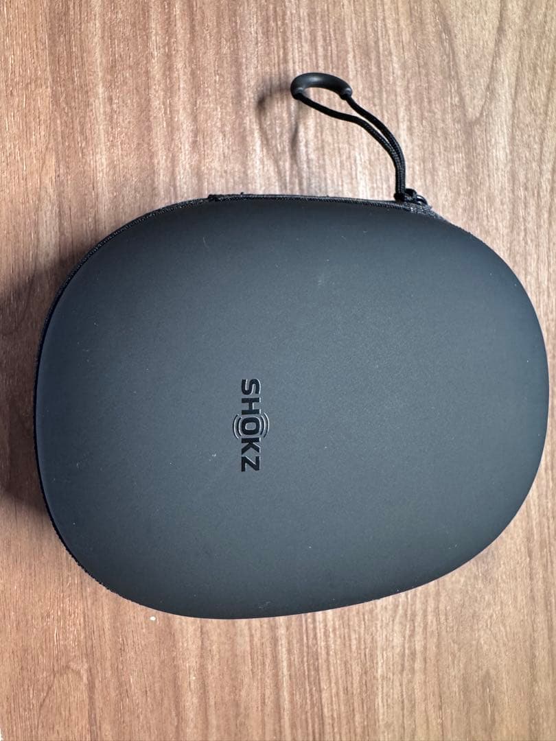 OpenRun Pro 2 標準サイズ