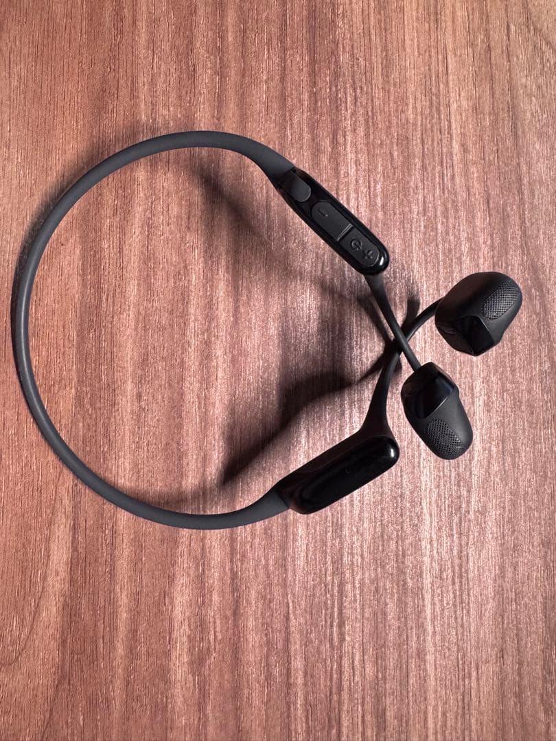 OpenRun Pro 2 標準サイズ