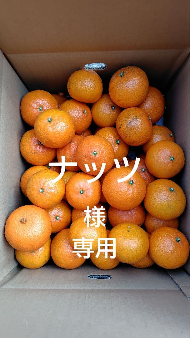 津之輝20㎏(家庭用)ナッツ