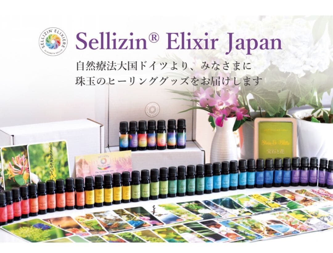 ゼリツィンエリクサー　カードセット