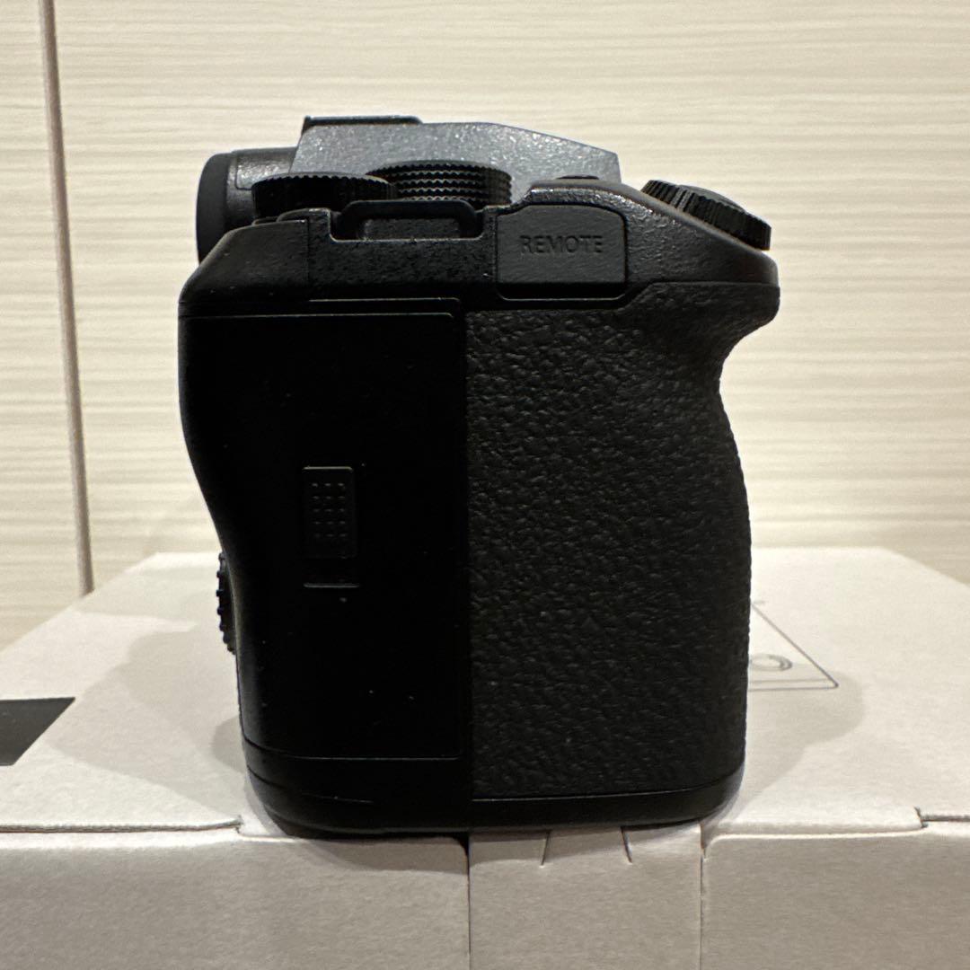 LUMIX S1IIE ミラーレス一眼カメラ