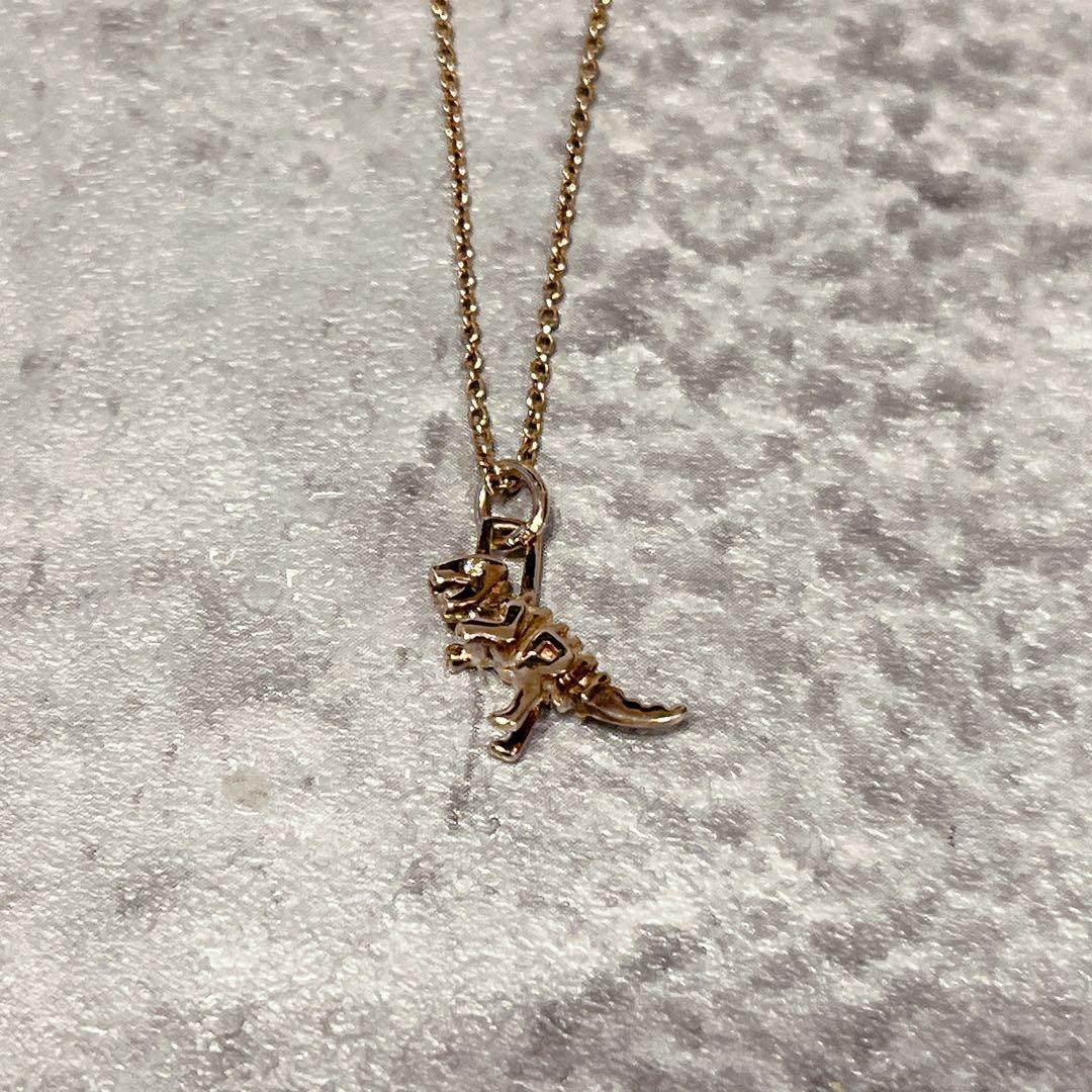 希少 美品 COACH コーチ スケルタル レキシー ペンダント ネックレス