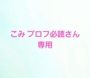 こみ プロフ必読さん　専用