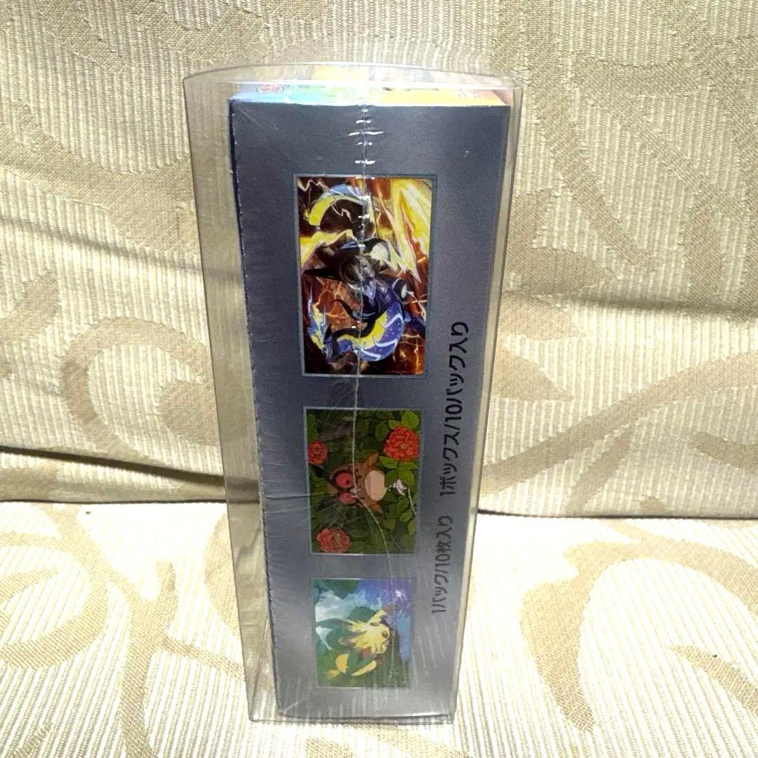 ポケモンカードゲーム テラスタルフェス 未開封BOX