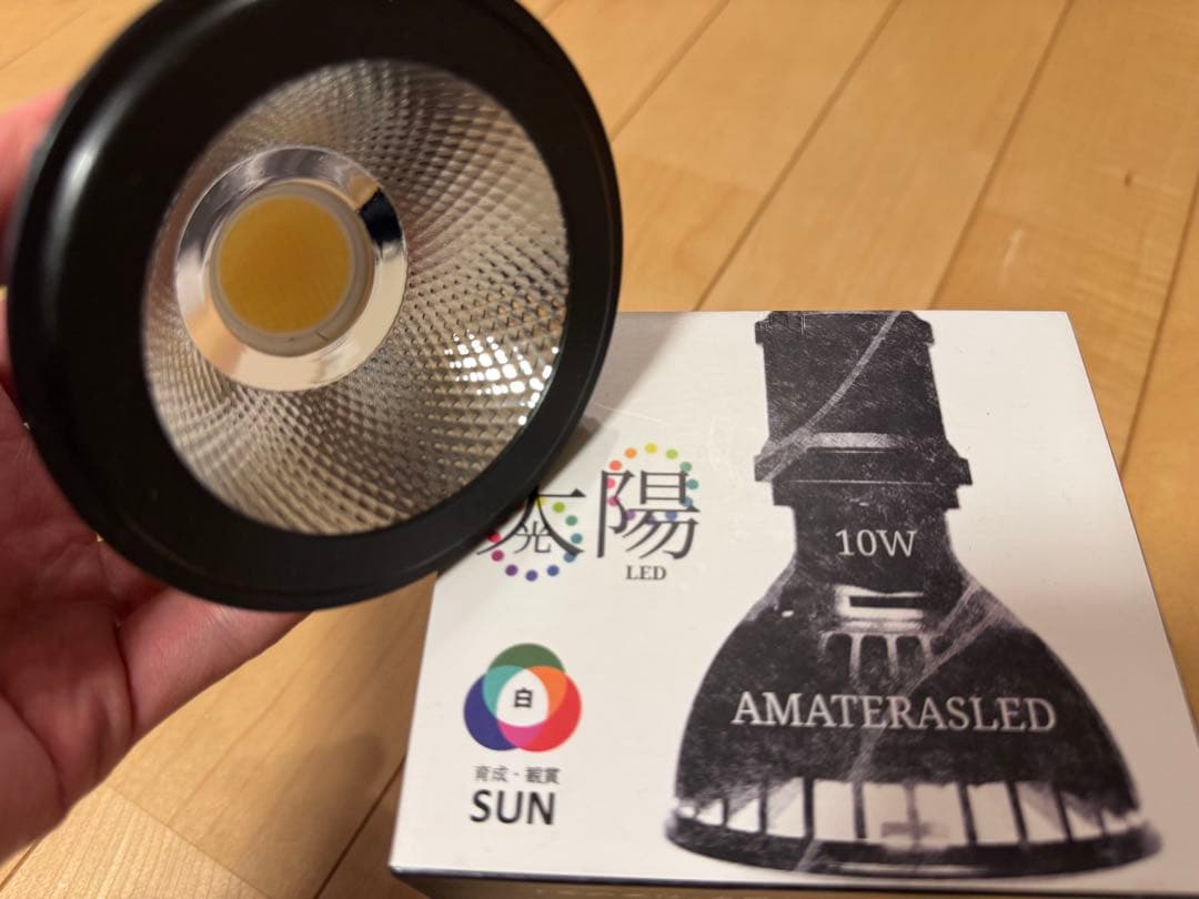 AMATERAS LED 10w & レディオアーム (セット)