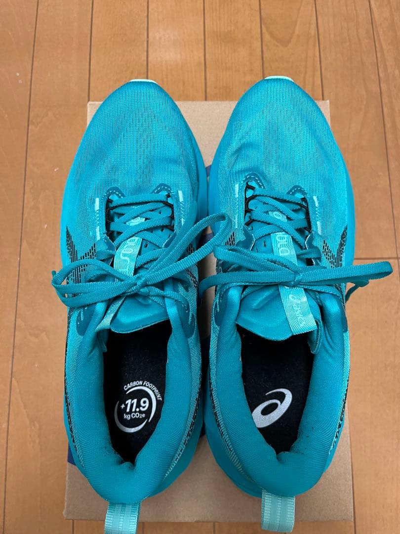 アシックス ノヴァブラスト5 27.5センチ