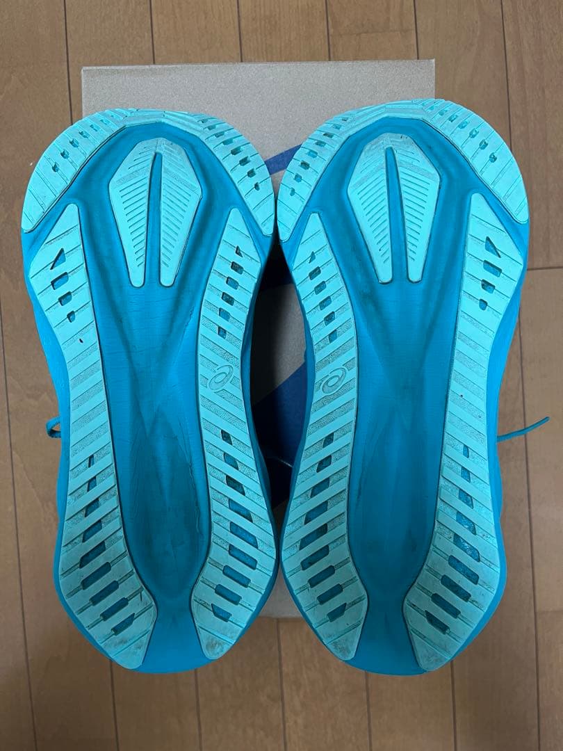 アシックス ノヴァブラスト5 27.5センチ