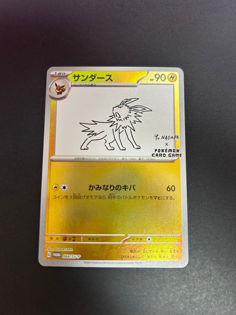 サンダース　nagaba