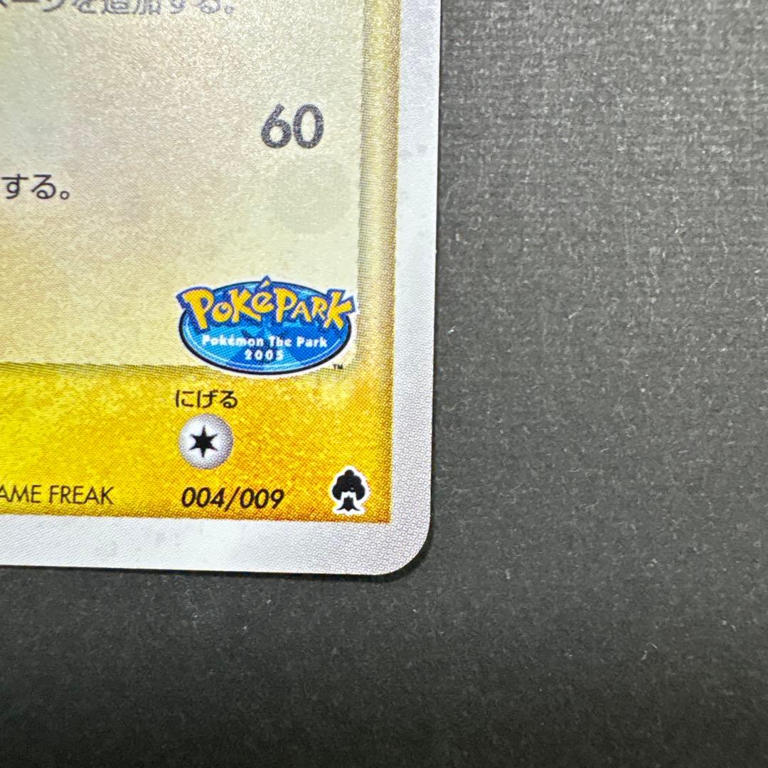 ポケパークのピカチュウ （004/009）