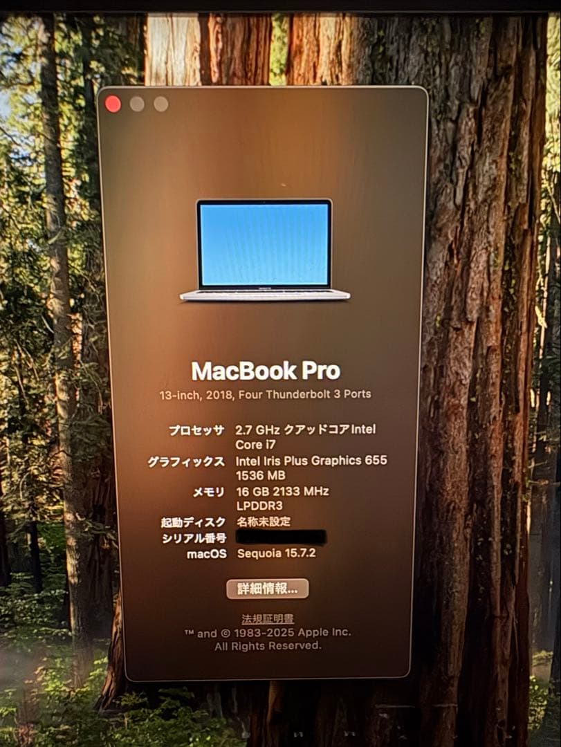 美品！フルカスタムMacBook Pro 13 メモリ16GBストレージ1TB