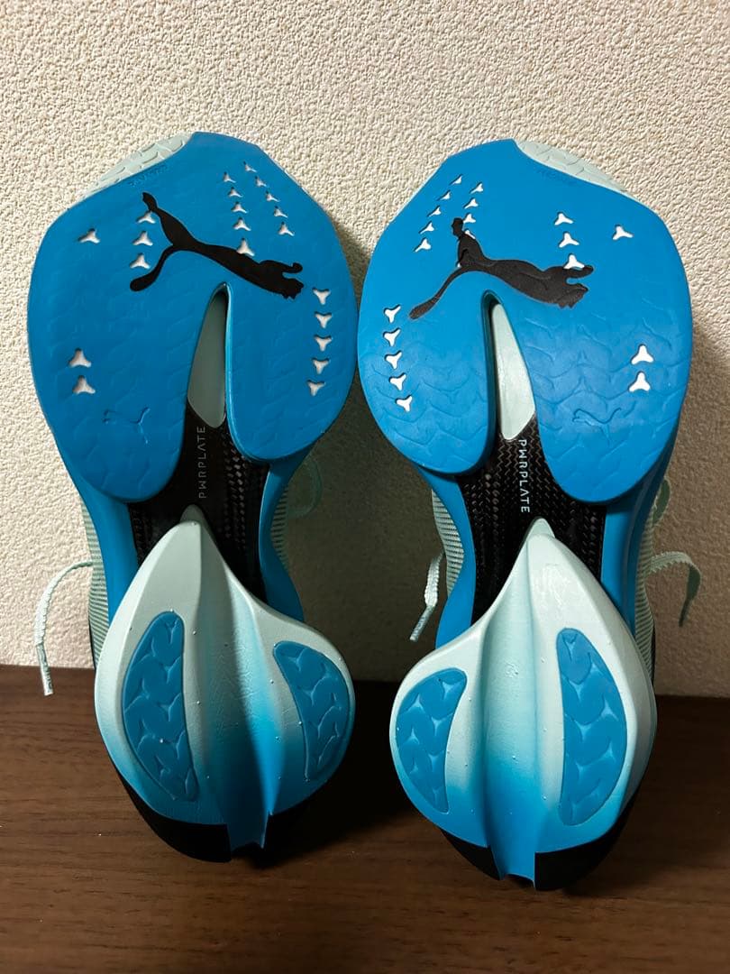 PUMA FAST-Rニトロエリート3 [M 25cm]