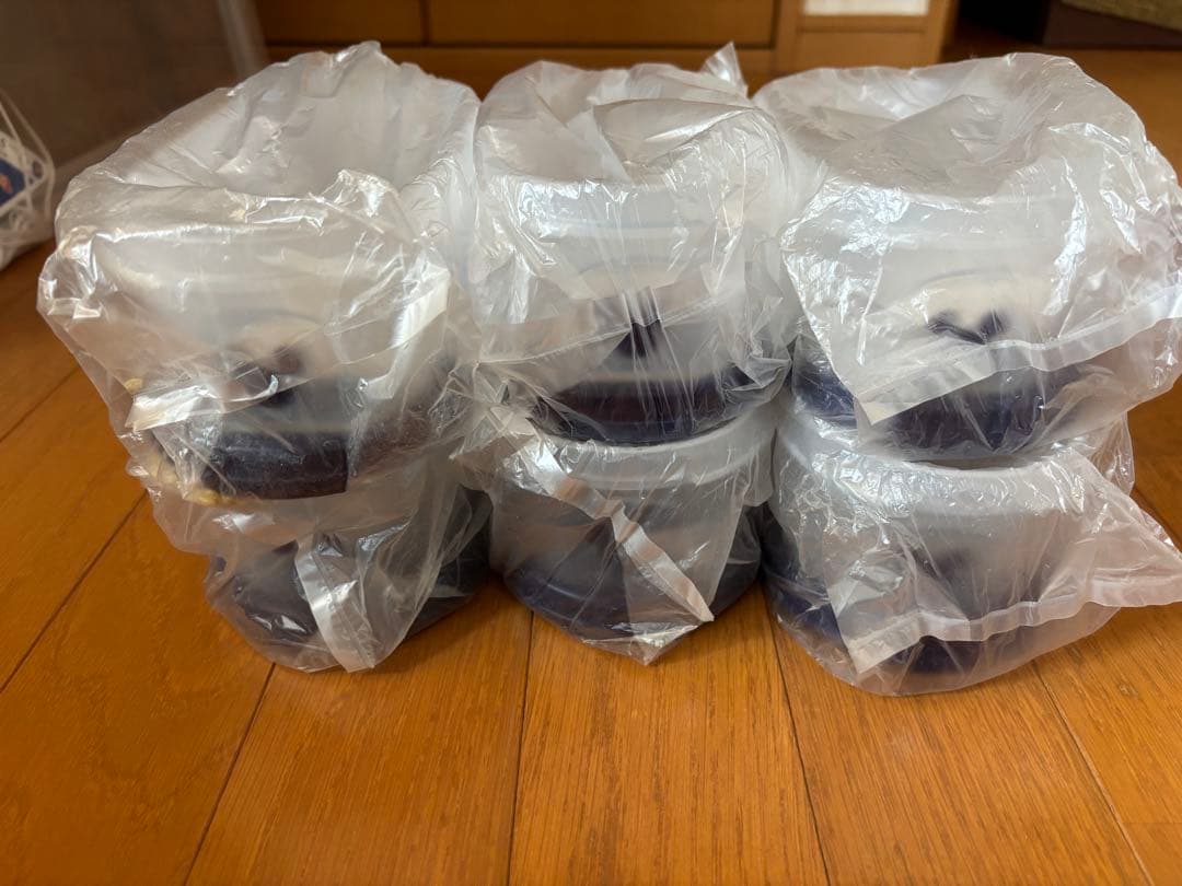 新品　タッパーウエア　ミッキーマウス楕円形 6個セット