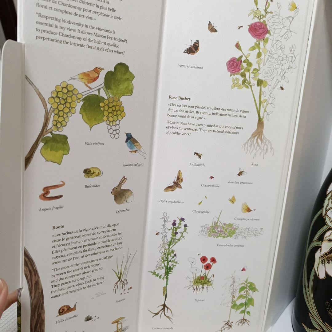 ペリエ ジュエ ベル・エポック 2013