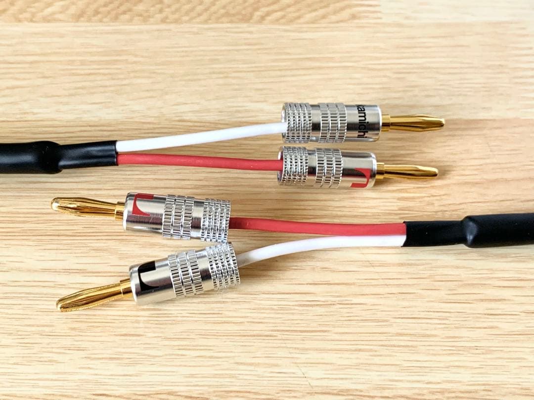 ヒロシ様 Zonotone 6NSP-2200Meister 1.9mペア