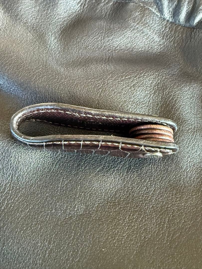 ワイルドスワンズ　ガルダール　チョコ