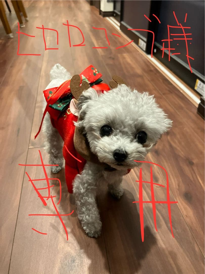 BROSKI AND SUPPLY レザー ブラック バックパック