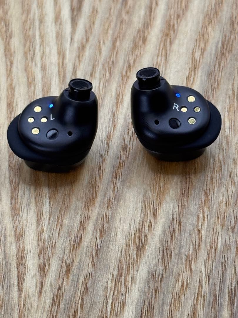 <おまけでCaseお付け> MOMENTUM True Wireless 4