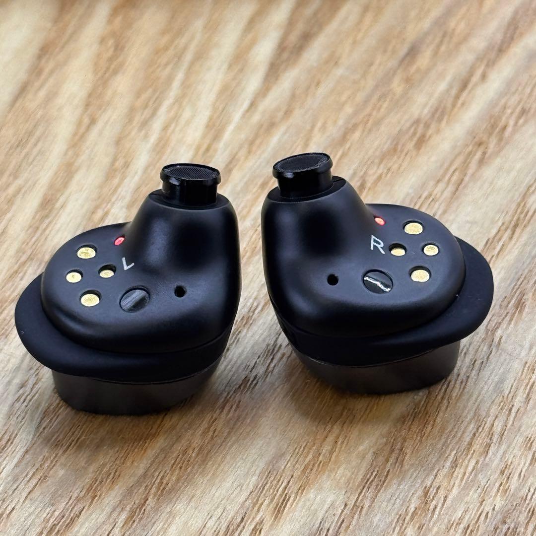 <おまけでCaseお付け> MOMENTUM True Wireless 4