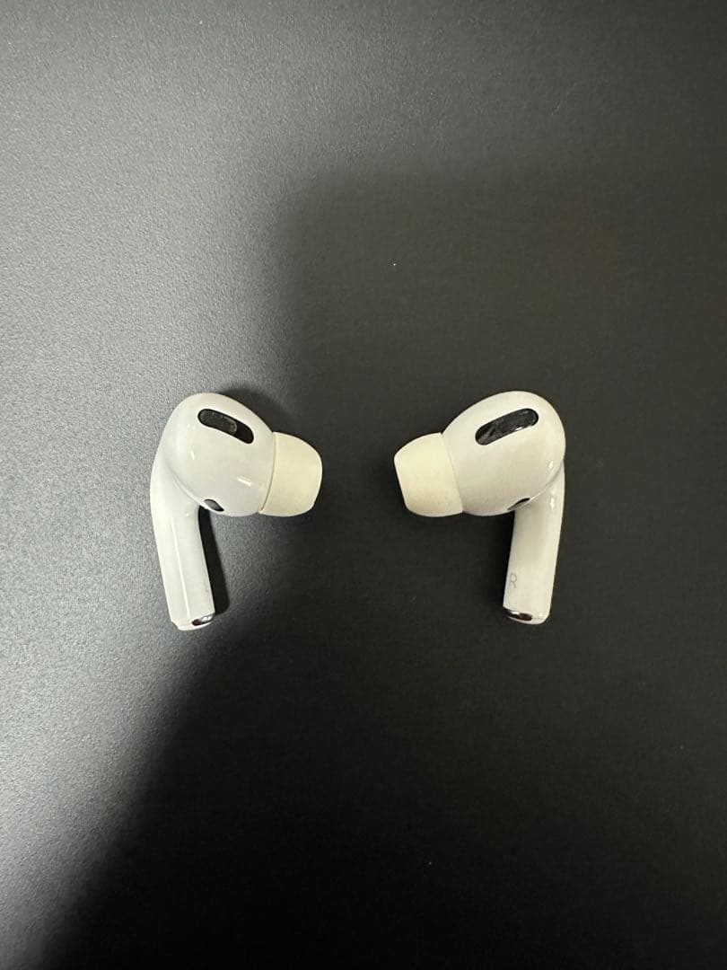 Apple AirPods 第1世代 本体 充電ケース付き