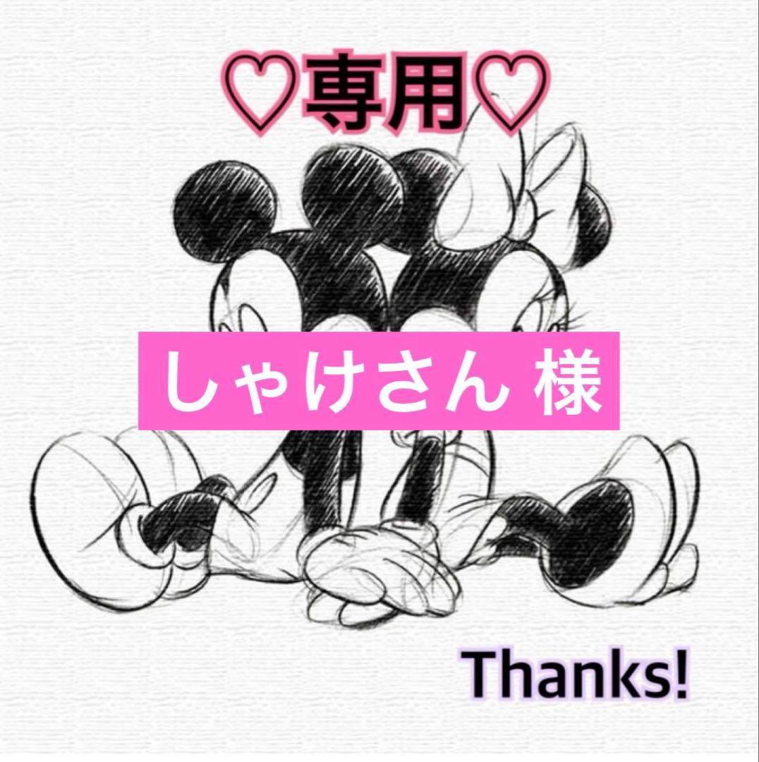 しゃけさん 出品