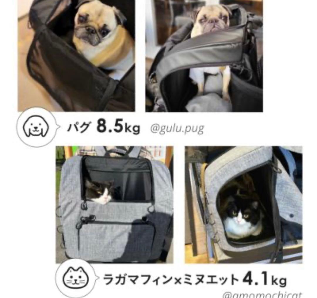 【aya♡naru】AIRBUGGY3wayバックパックキャリー ワイド