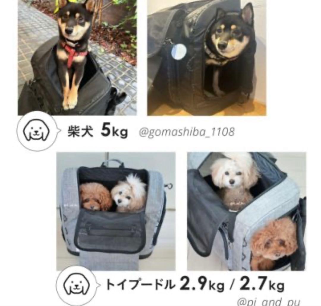 【aya♡naru】AIRBUGGY3wayバックパックキャリー ワイド