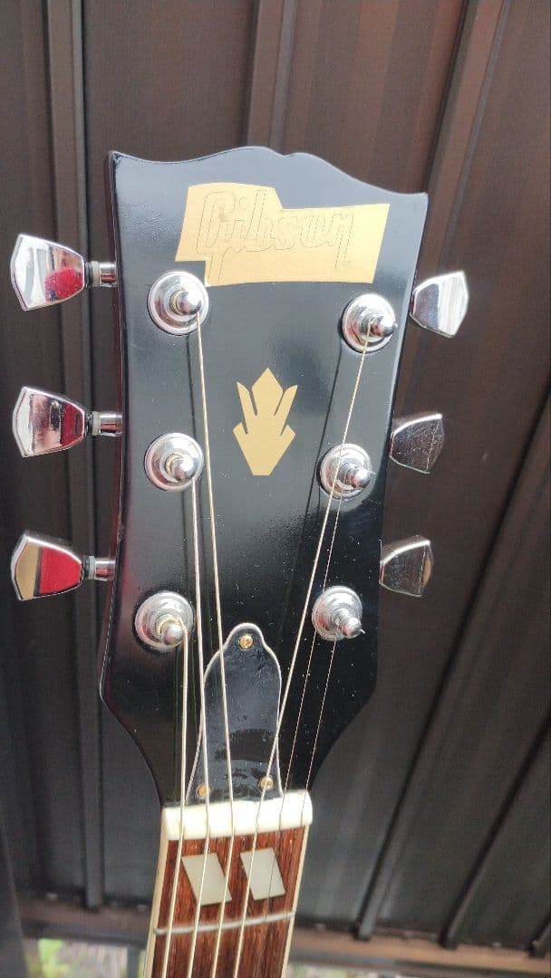 美品 激鳴り！ ジャパンビンテージ DOVE Wピックアップ付エレアコ