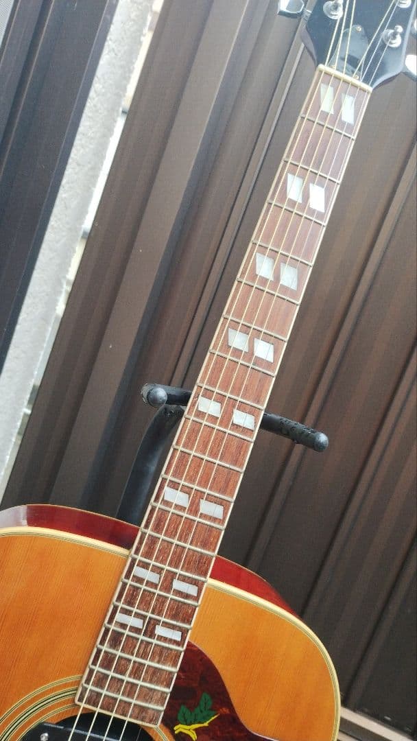 美品 激鳴り！ ジャパンビンテージ DOVE Wピックアップ付エレアコ