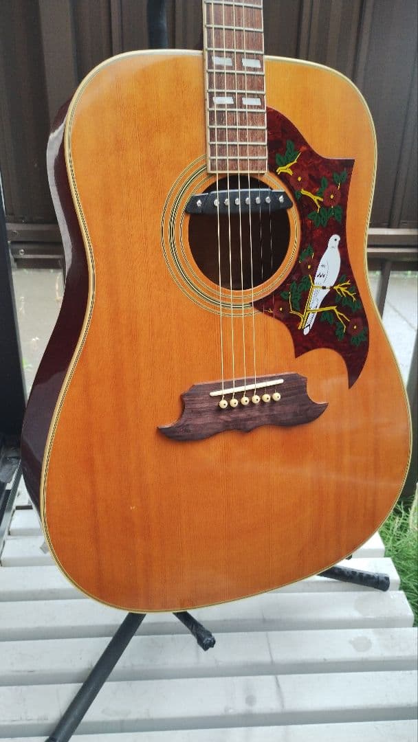 美品 激鳴り！ ジャパンビンテージ DOVE Wピックアップ付エレアコ