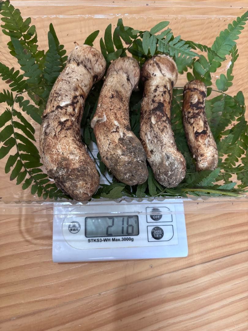 岩手県産松茸 216g 本日の10時までのご購入で本日発送