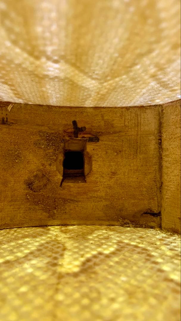 三線 沖縄 両面蛇皮 表側強化二重張り カラクイ1本弦2本新品交換