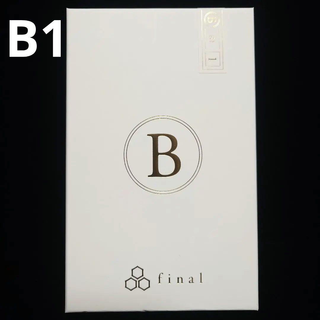 【試聴のみ美品】final B1 リケーブル可能イヤホン 3.5mmケーブル付