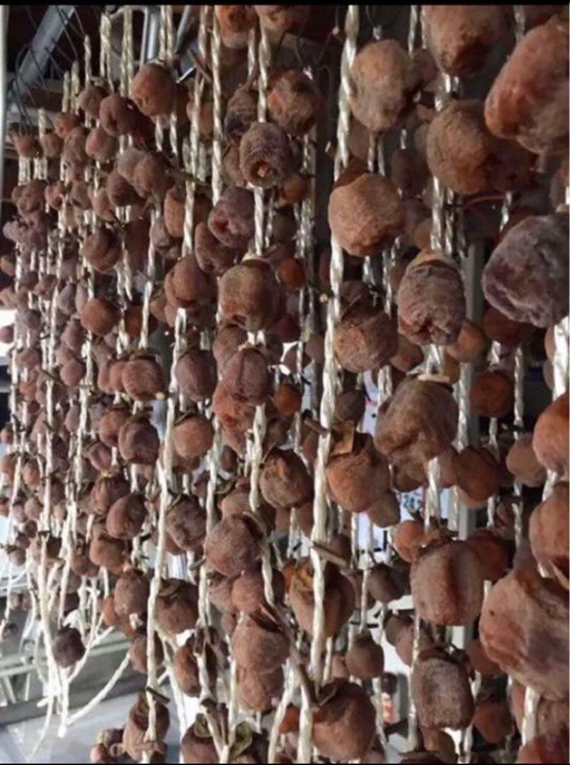 sakura産専用出 山形特産　紅干し柿。蔵王吊るし柿。