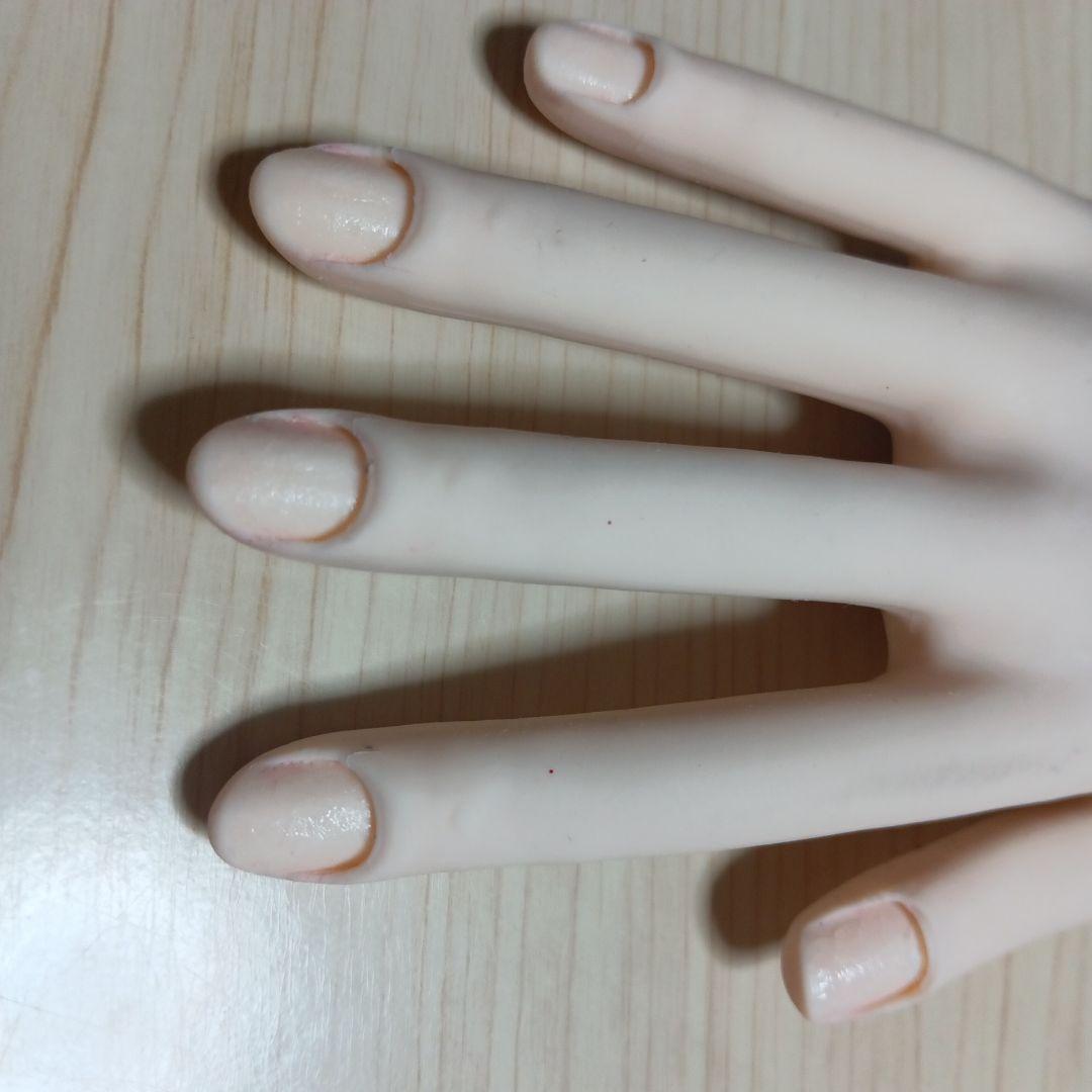 ネイリスト技能検定試験用JNEC認定モデルハンド/ネイリスト検定STモデルハンド