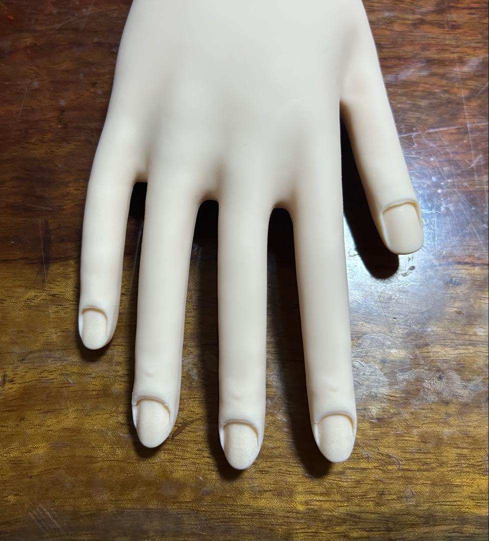 ネイリスト技能検定試験用 モデルハンド