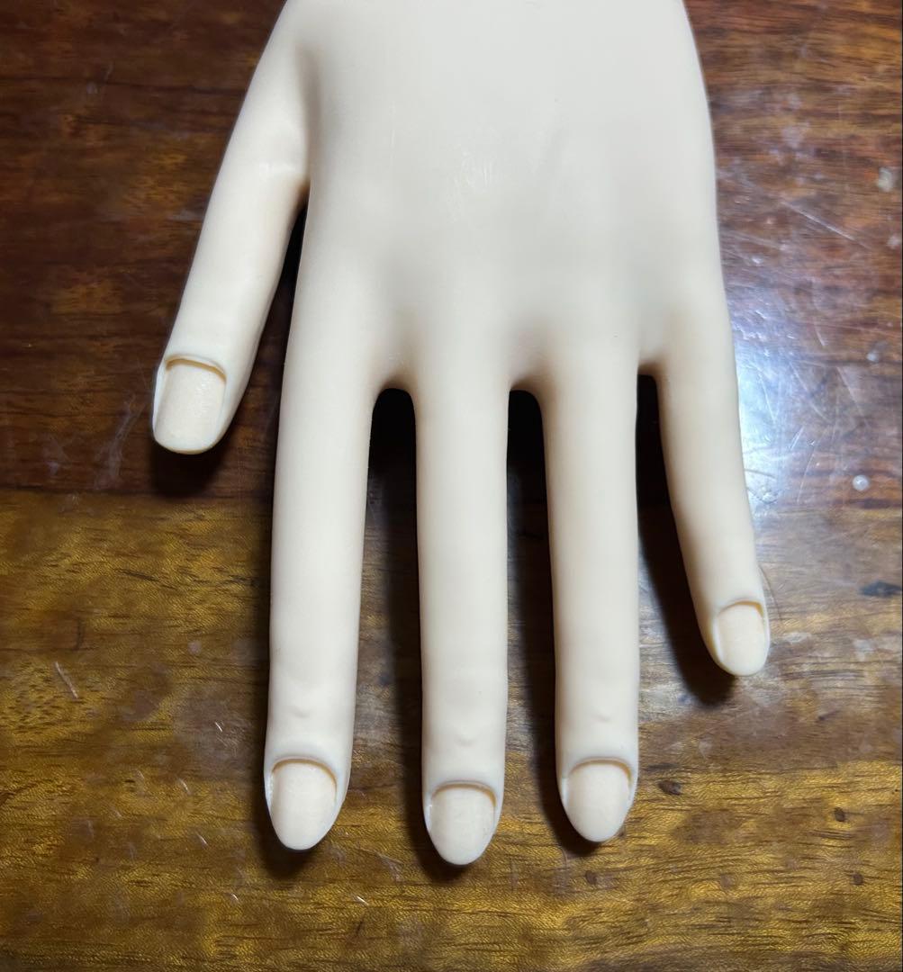 ネイリスト技能検定試験用 モデルハンド