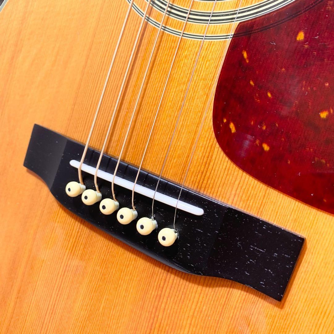 あ*お様 Morris MF-251N 調整済み アコースティックギター 弾きや