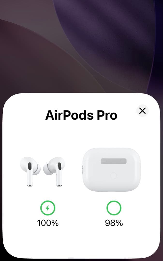 【正規品】Apple AirPods Pro 第2世代（美品）
