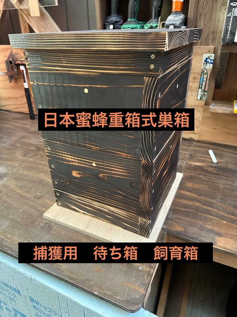 日本ミツバチ重箱式巣箱　捕獲飼育用　待ち箱