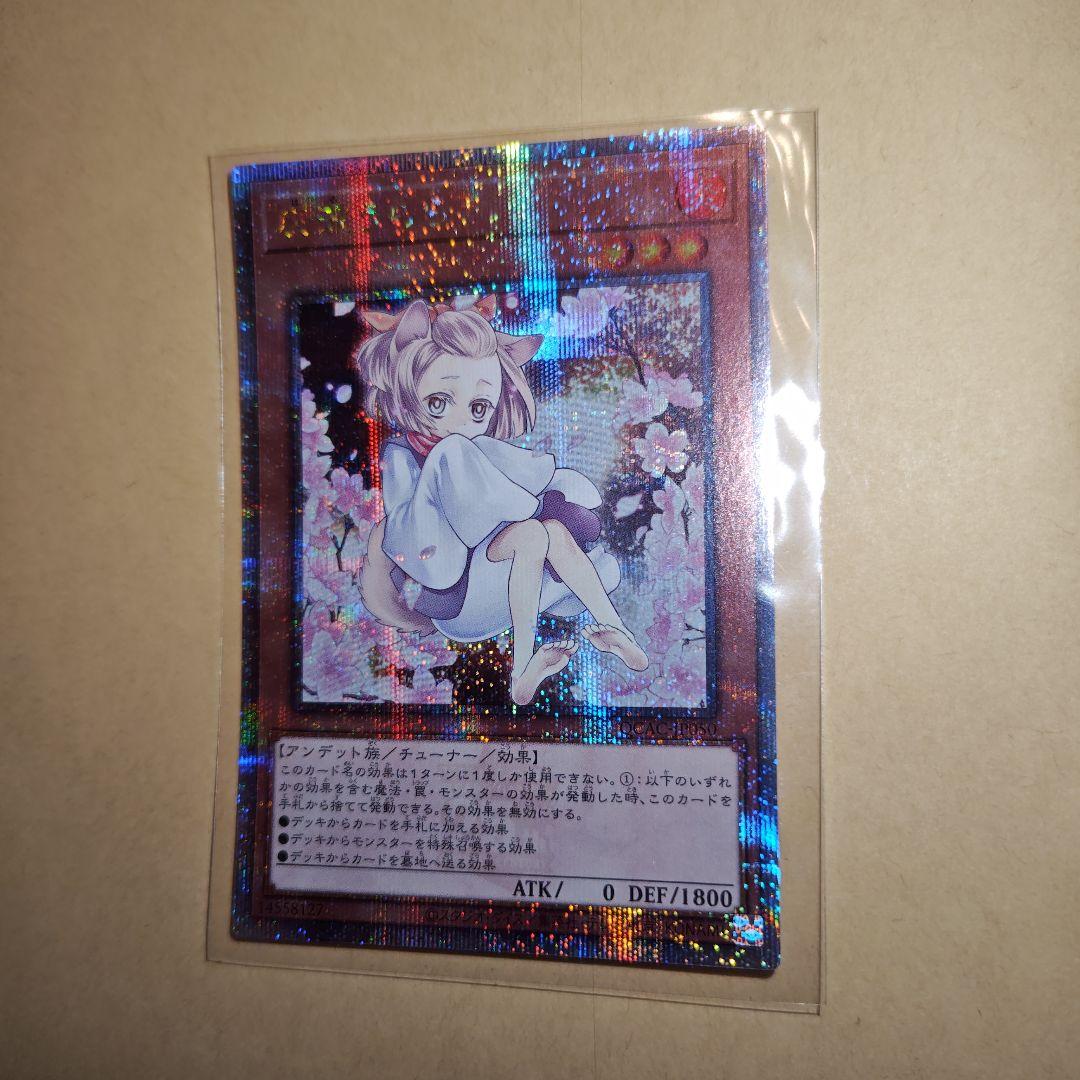 遊戯王　灰流うらら　25th　クオシク　絵違い