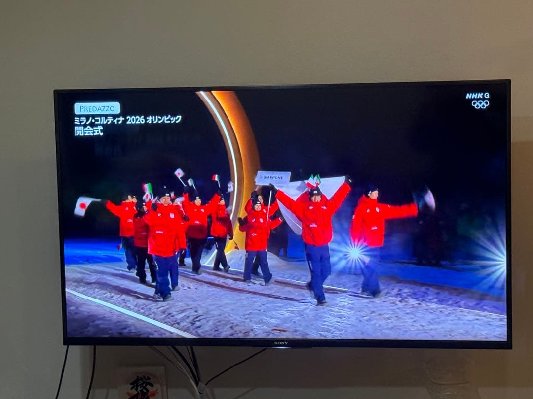 正常動作美品 SONY BRAVIA KJ-49X8500G 20年製　ブラビア