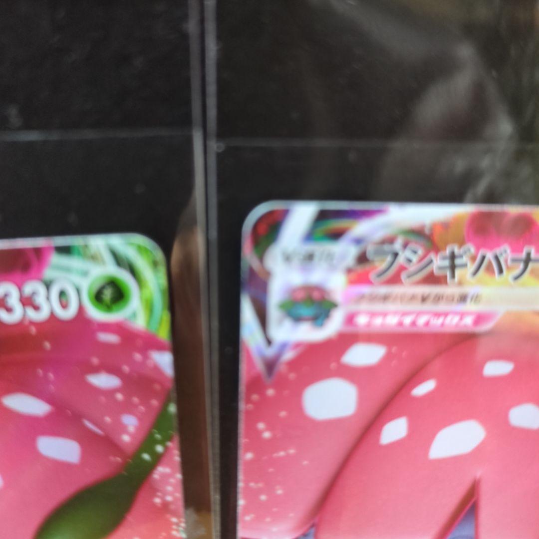 [未使用]フシギバナVMAX SEF 002/021 2枚セット