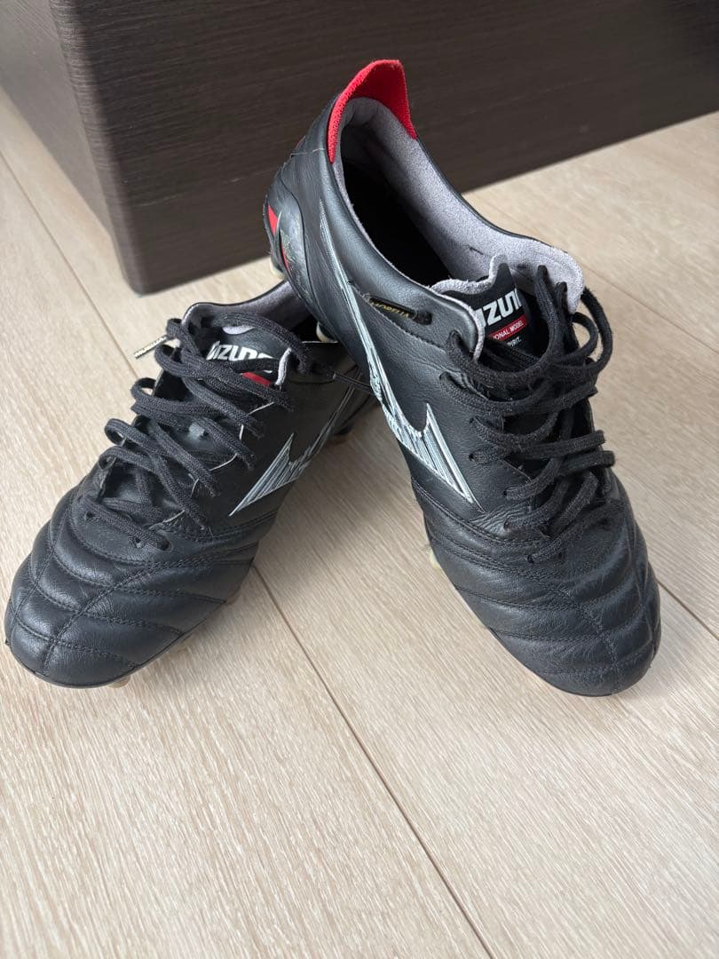 モレリアネオ　Ⅳ 25cm