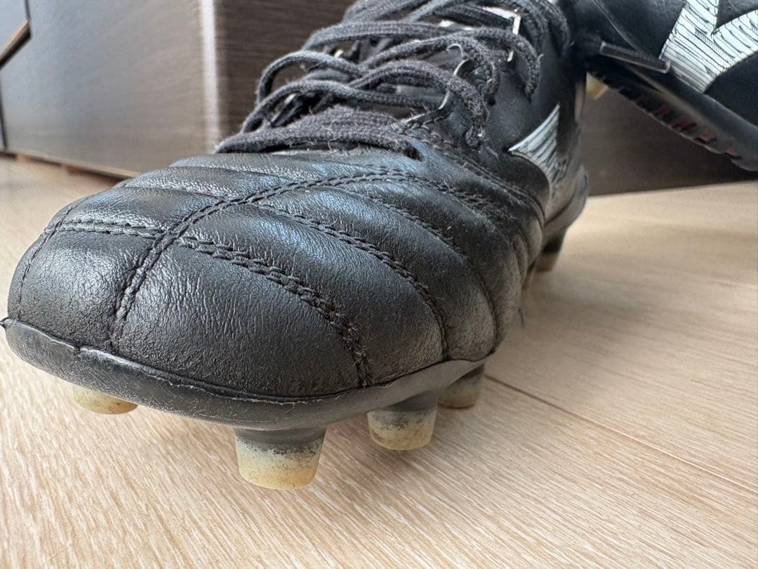 モレリアネオ　Ⅳ 25cm