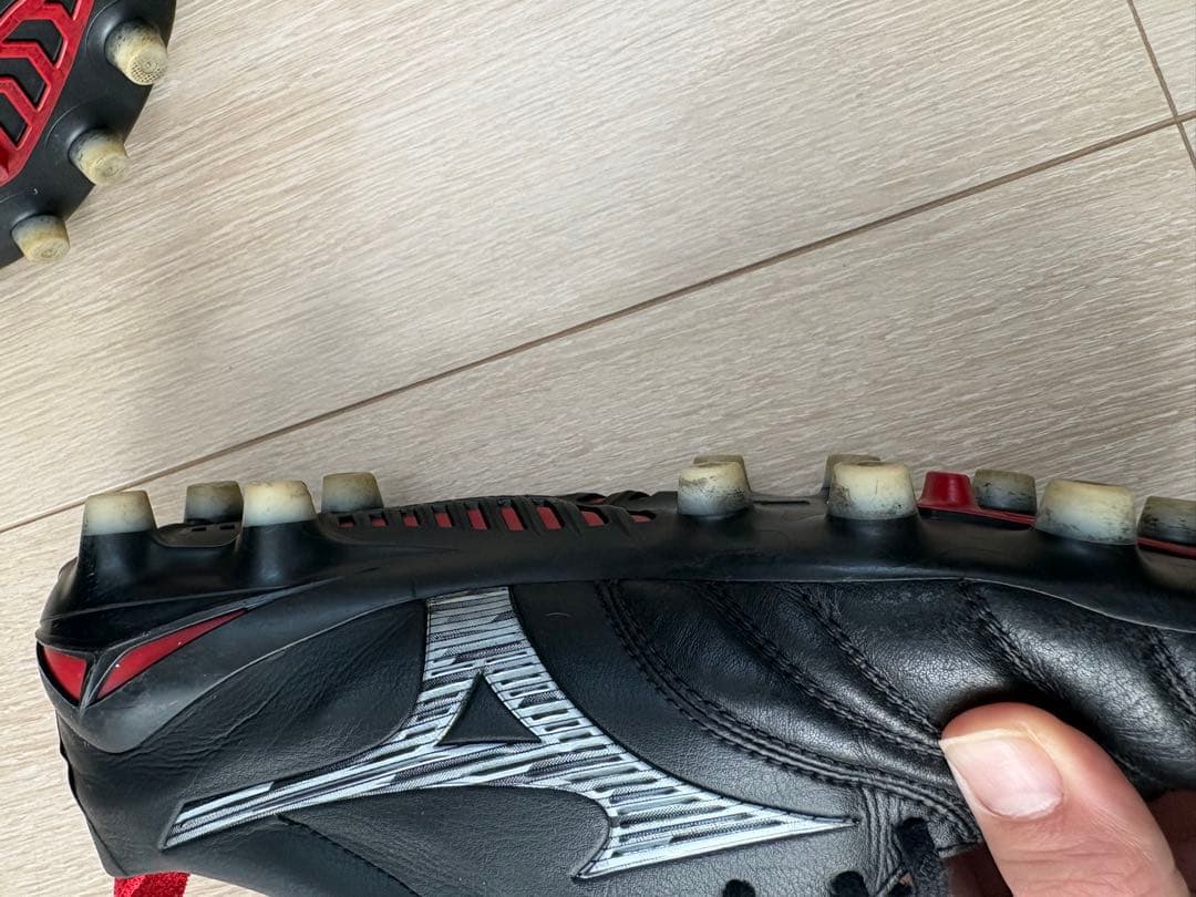 モレリアネオ　Ⅳ 25cm