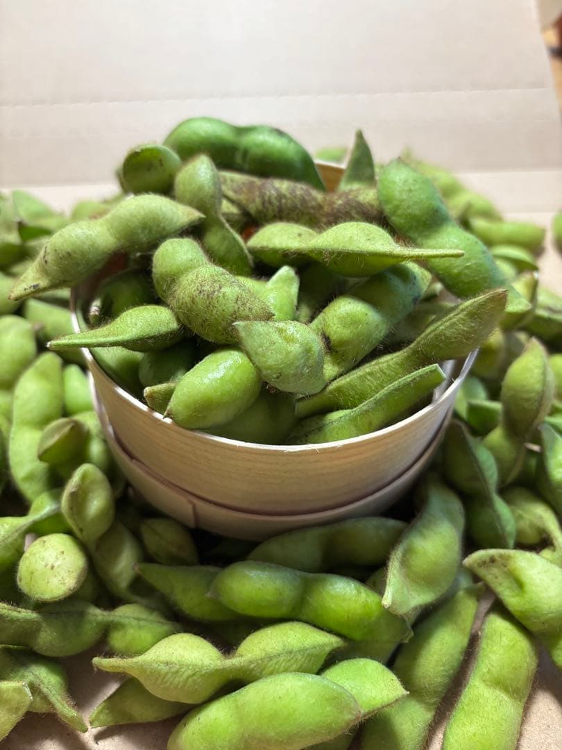 Nagidesu5kg 兵庫県丹波市産『丹波黒』の枝豆