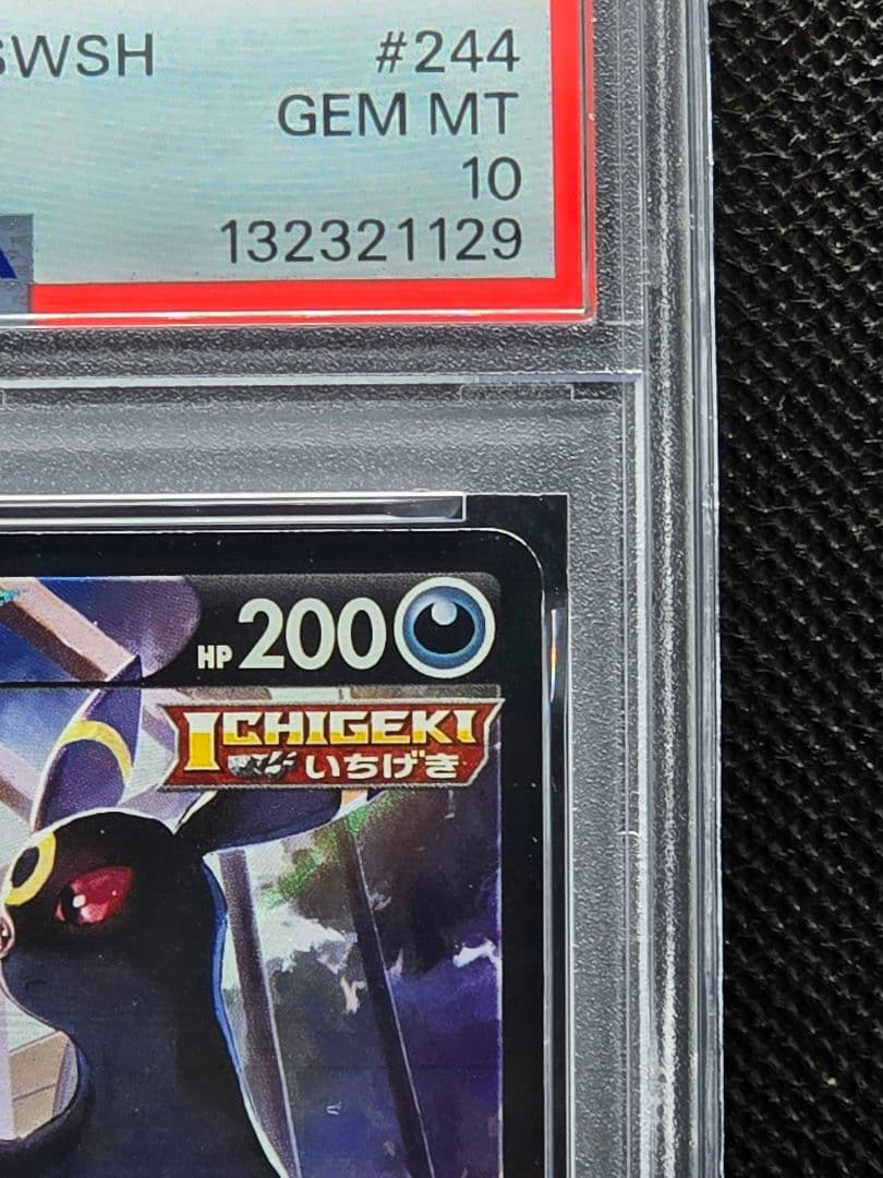 PSA10 ブラッキーv【CSR】VMAXクライマックス