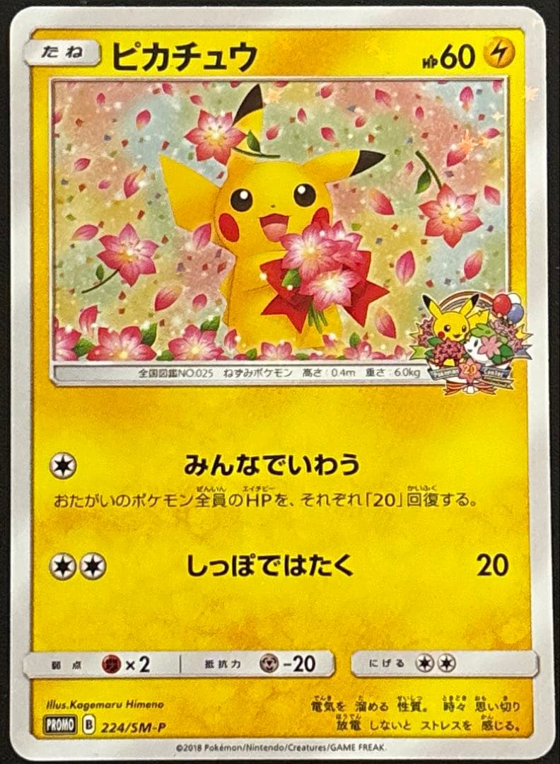 ピカチュウ　みんなでいわう