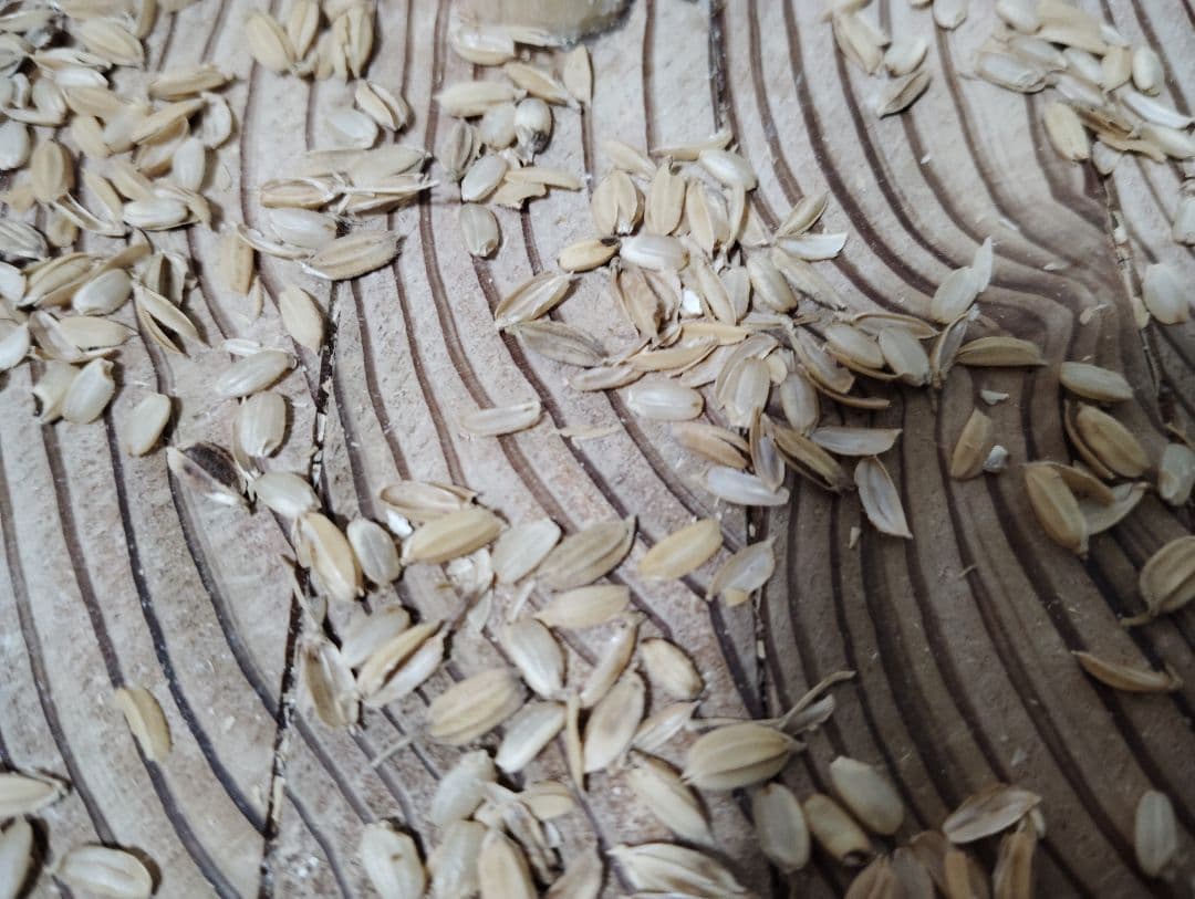 回転式籾摺り機(軽量小型)