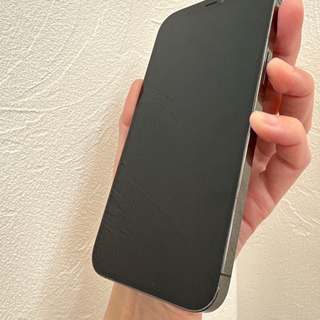 moshi　　iPhone12 pro max 128GB